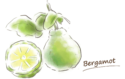 ベルガモットイメージ